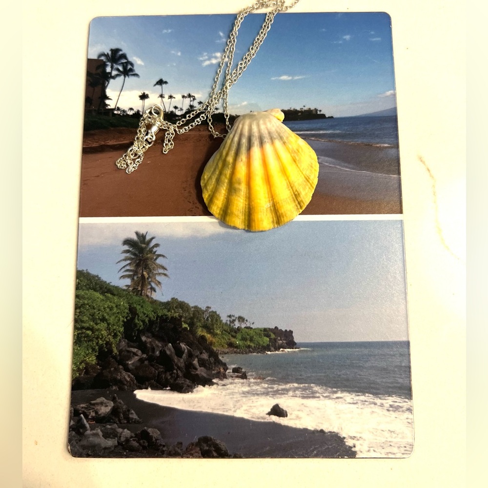 Hawaii Sunrise seashell, authentic from Hawaii, beautiful piece withsilver chain